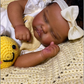 Quinbee