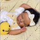 Quinbee