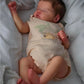 Quinbee